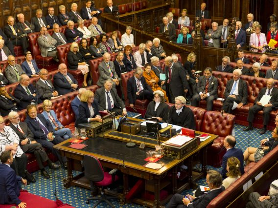 Members of the House of Lords debating in the Chamber