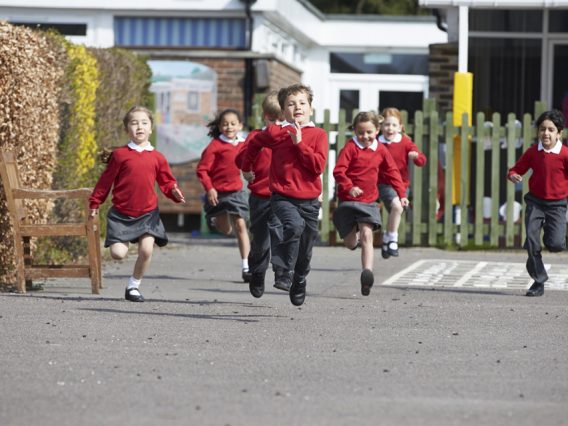 school uniform, education