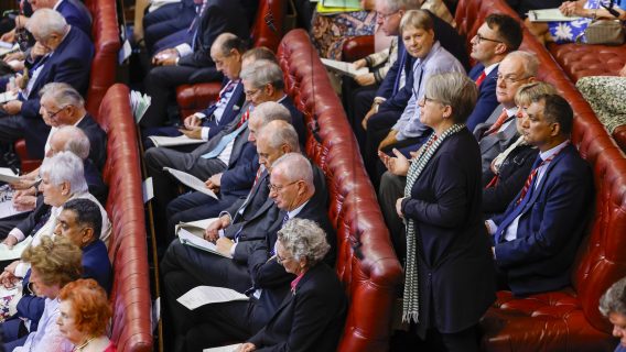 House of Lords chamber at work